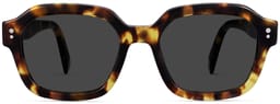 Babs in Tamarind Tortoise, thumbnail 4