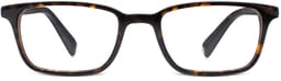 Oliver in Whiskey Tortoise, thumbnail 4