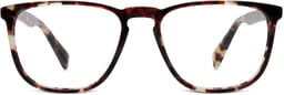 Vaughan in Burnt Lemon Tortoise, thumbnail 4