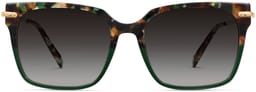 Vela in Aventurine Tortoise with Polished Gold, thumbnail 4