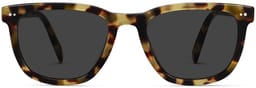 Toni in Cider Tortoise, thumbnail 4