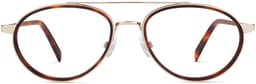 Amos in Cola Tortoise with Riesling, thumbnail 4