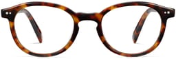Anselm in Acorn Tortoise, thumbnail 4