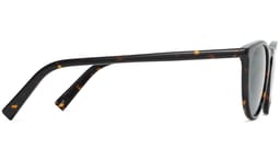 Haskell in Whiskey Tortoise, thumbnail 5