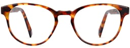 Whalen in Acorn Tortoise, thumbnail 4