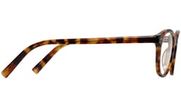Anselm in Acorn Tortoise, thumbnail 5