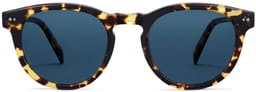 Hayes in Mesquite Tortoise, thumbnail 4