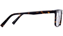 Chamberlain in Whiskey Tortoise, thumbnail 5