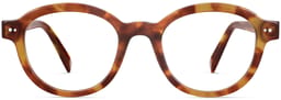 Bingley in Saddle Tortoise, thumbnail 4