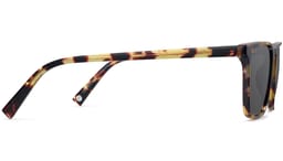 Sutton in Walnut Tortoise, thumbnail 3