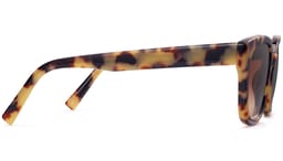Aubrey in Marzipan Tortoise, thumbnail 4