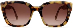Aubrey in Marzipan Tortoise, thumbnail 3
