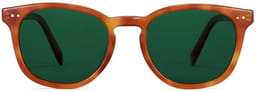 Toddy in Sequoia Tortoise, thumbnail 4