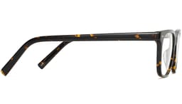 Hector in Whiskey Tortoise, thumbnail 5