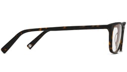 Welty in Whiskey Tortoise, thumbnail 5