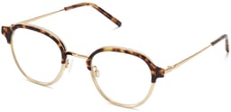 Finnegan in Layered Hazelnut Tortoise with Polished Gold, thumbnail 1