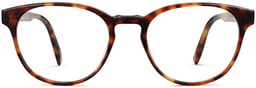 Whalen in Acorn Tortoise, thumbnail 4