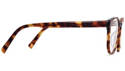 Whalen in Acorn Tortoise, thumbnail 5