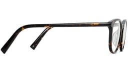 Durand in Whiskey Tortoise, thumbnail 5