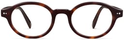 Leuda in Cola Tortoise, thumbnail 4
