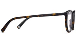 Haskell in Whiskey Tortoise, thumbnail 5