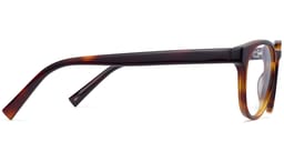 Percey in Rye Tortoise, thumbnail 5