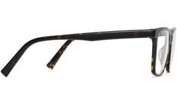 Chamberlain in Whiskey Tortoise, thumbnail 5