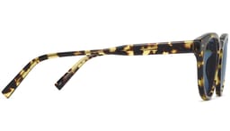 Hayes in Mesquite Tortoise, thumbnail 5