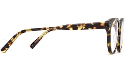 Hayes in Mesquite Tortoise, thumbnail 3