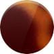 Newman Woodgrain Tortoise