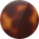 cognac-tortoise