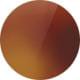 River Sapwood Tortoise