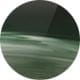 striped-cypress