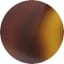 Tobias Woodgrain Tortoise Matte
