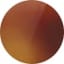 River Sapwood Tortoise
