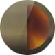 Striped Spruce with Caramel Tortoise