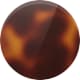 Cognac Tortoise