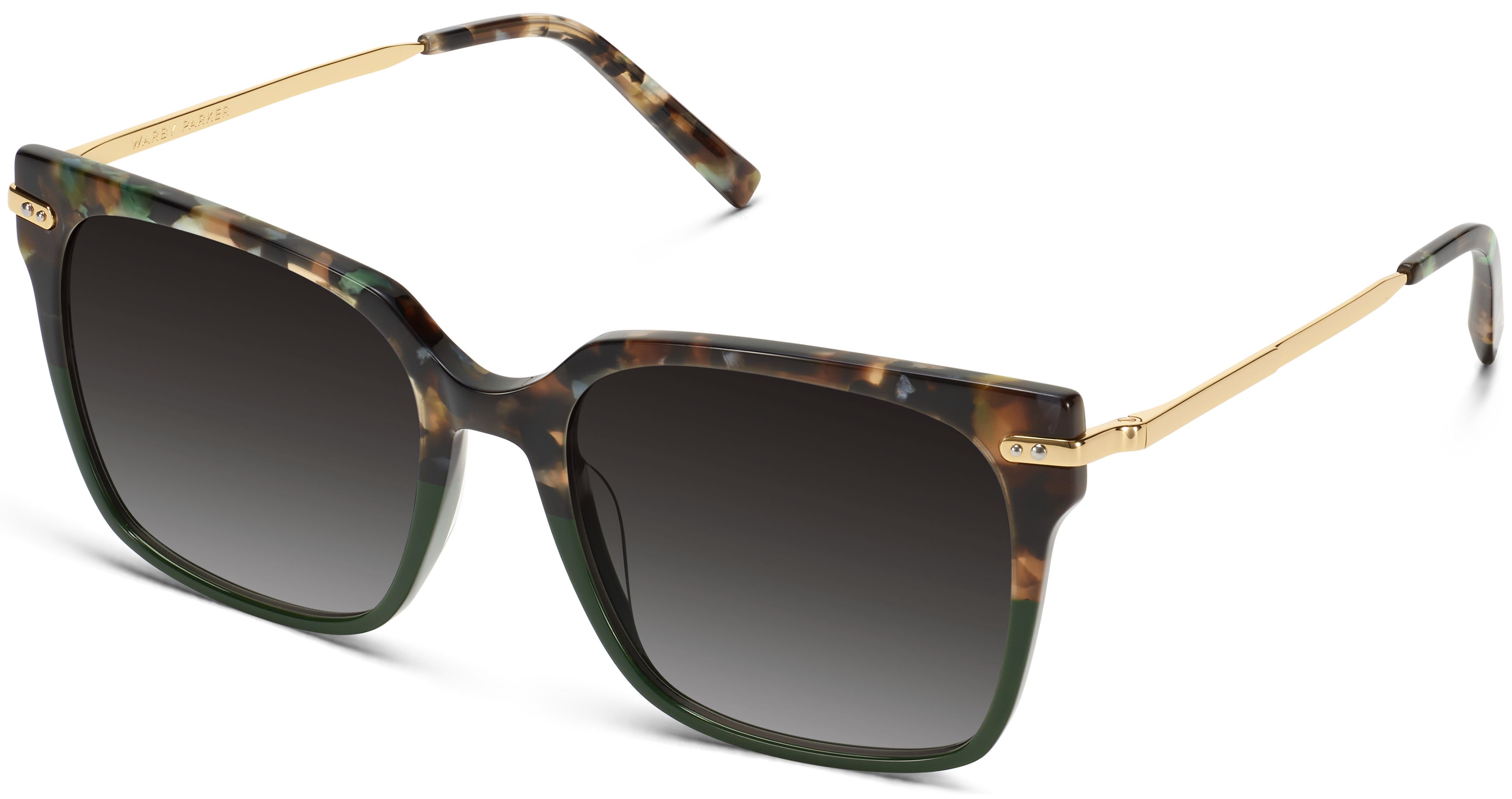 Vela in Aventurine Tortoise with Polished Gold, image 1