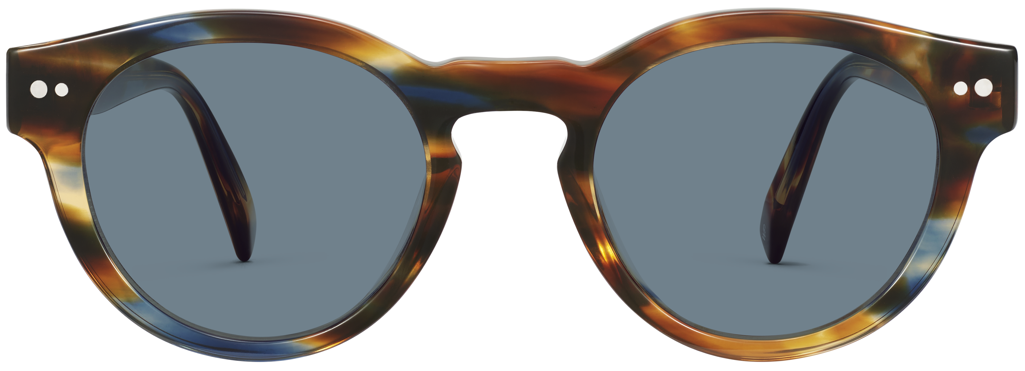 Tal Maritime Tortoise, baseTransparent view