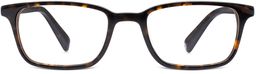 Oliver in Whiskey Tortoise, thumbnail 4