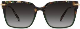 Vela in Aventurine Tortoise with Polished Gold, thumbnail 4