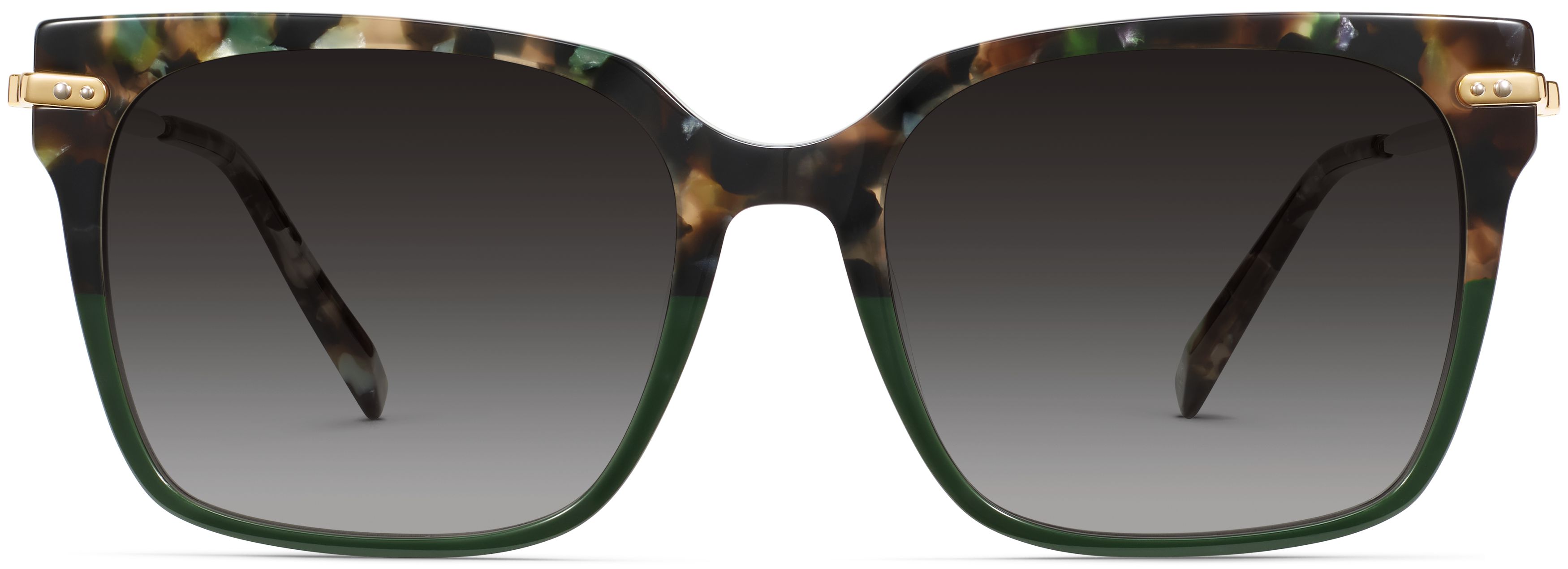Vela Aventurine Tortoise with Polished Gold, front view