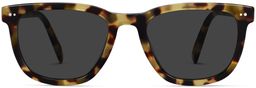 Toni in Cider Tortoise, thumbnail 4