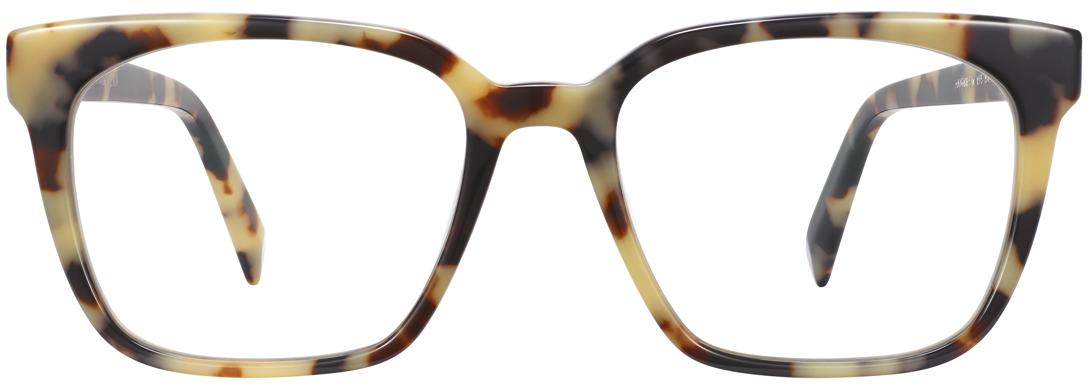 Hughes Marzipan Tortoise, baseTransparent view