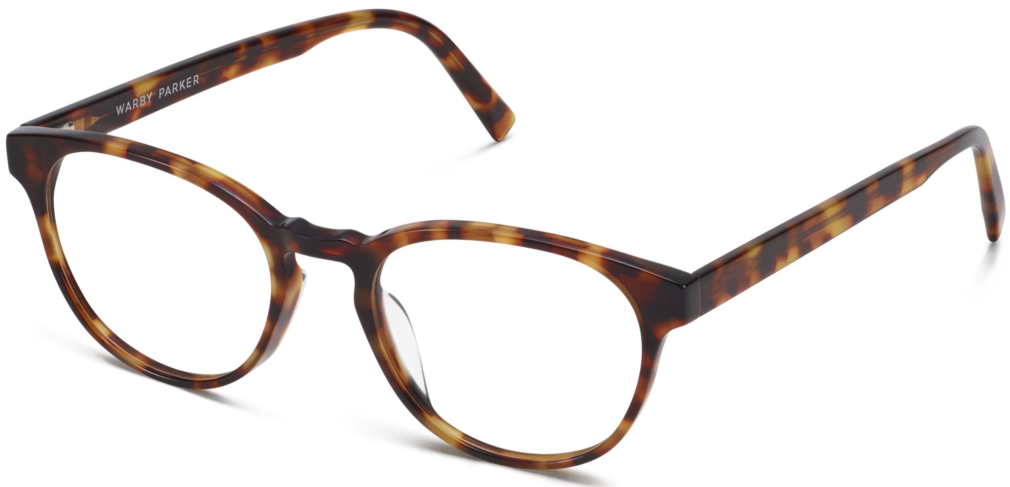 Whalen in Acorn Tortoise, image 1