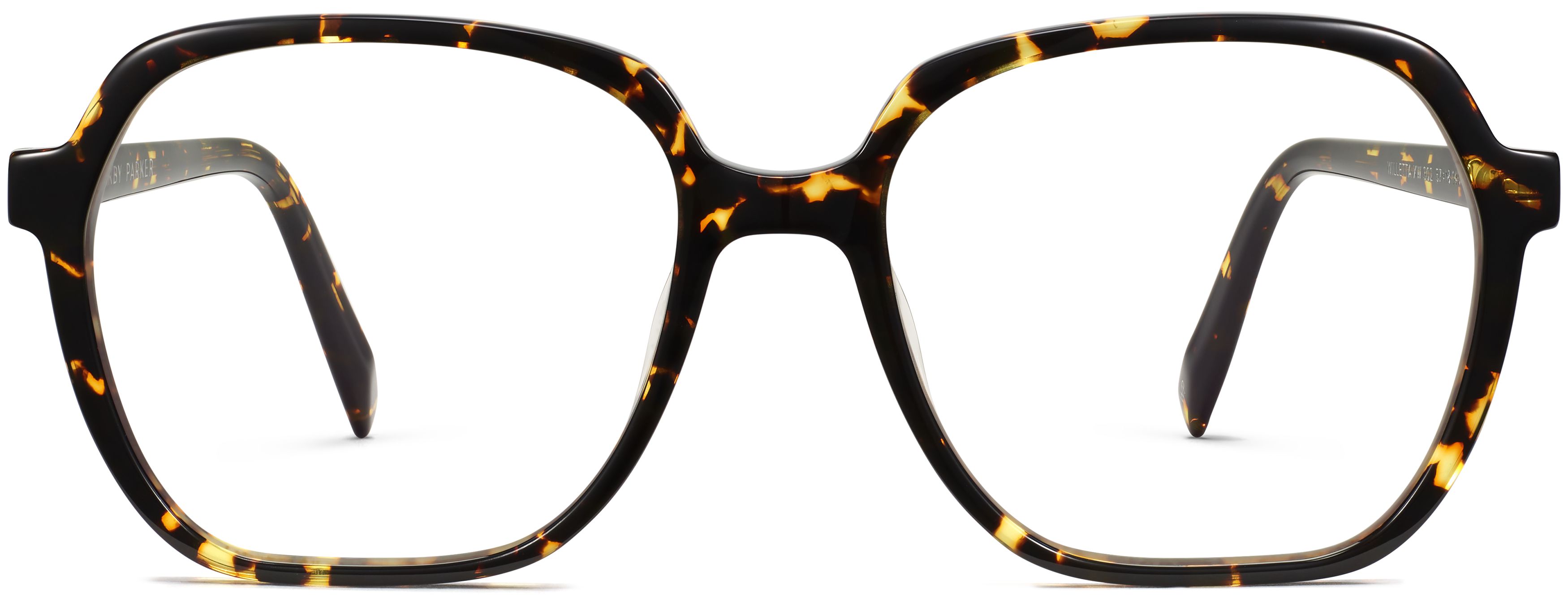 Willetta Black Oak Tortoise, front view