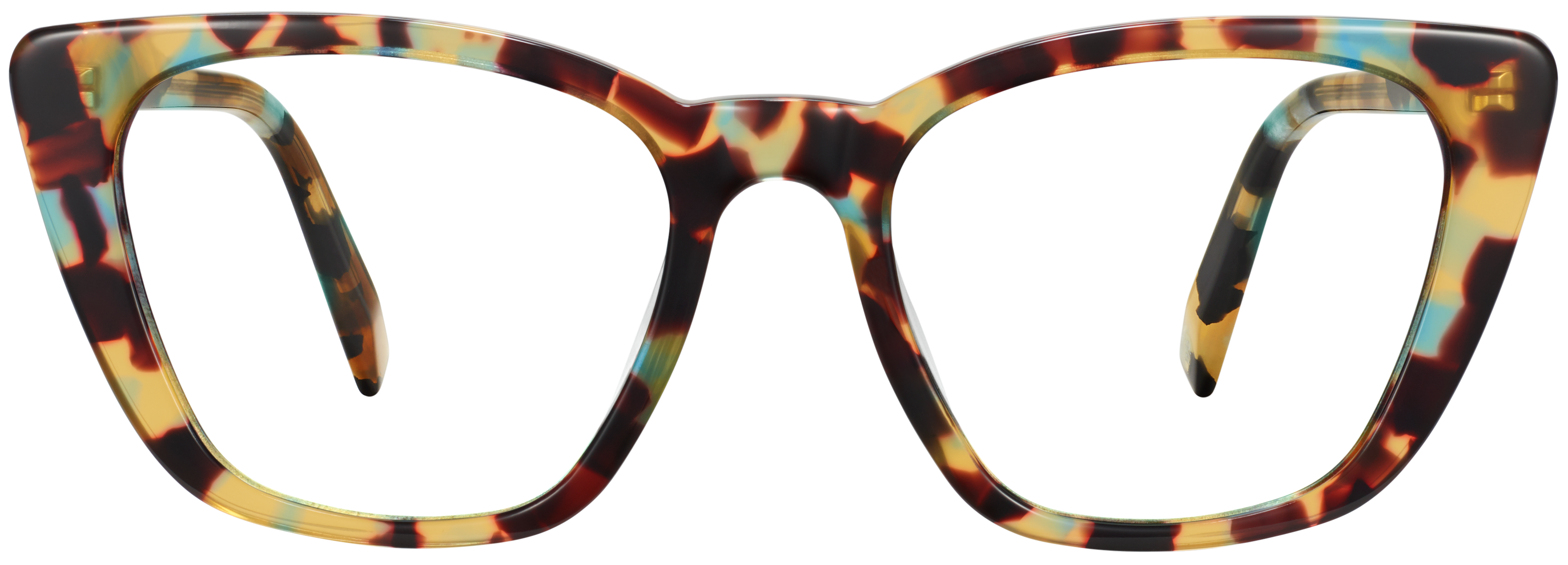 Janelle Seashore Tortoise, baseTransparent view