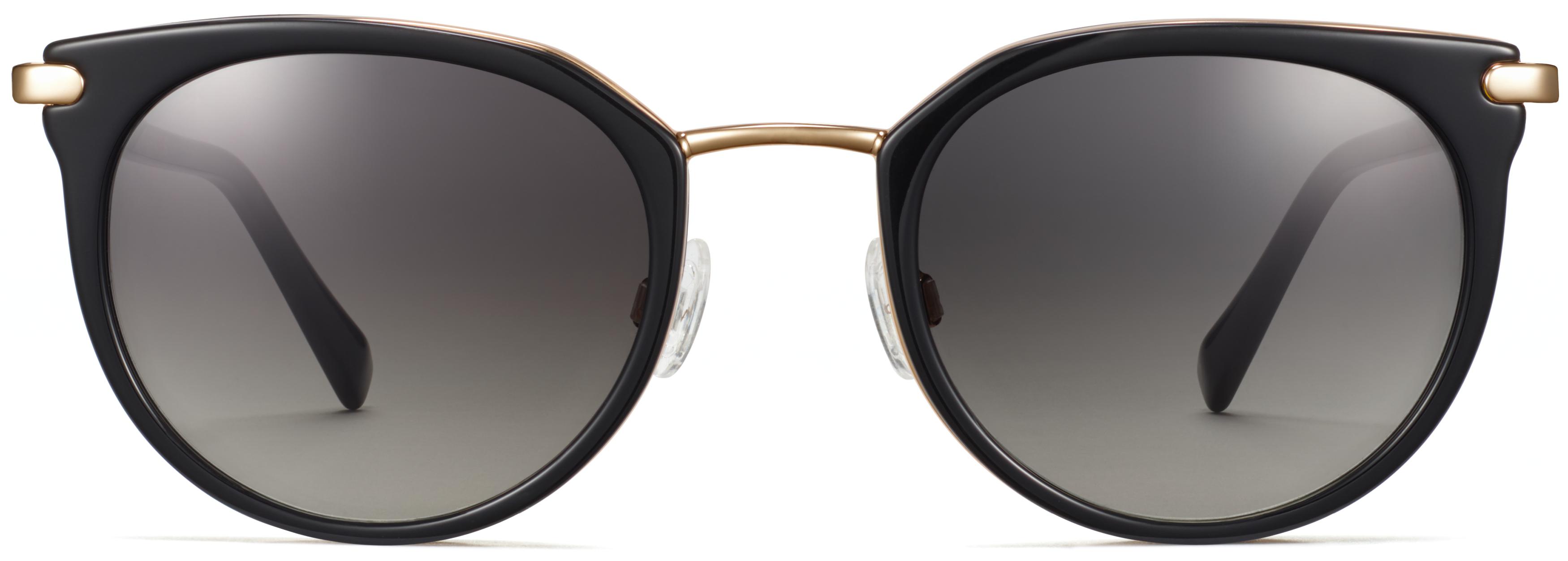 Baird Sunglasses in Jet Black with Polished Gold