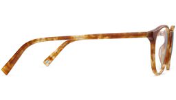 Butler in Butterscotch Tortoise, thumbnail 6