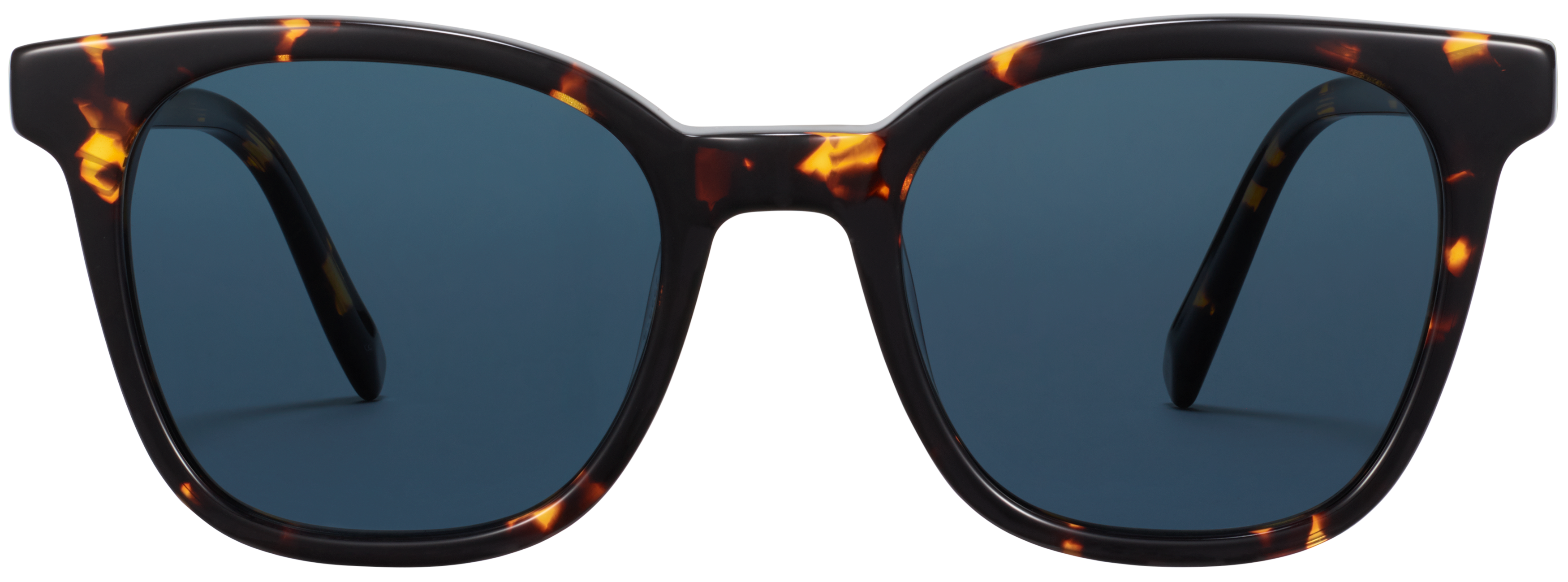Griffin Burnt Honeycomb Tortoise, baseTransparent view